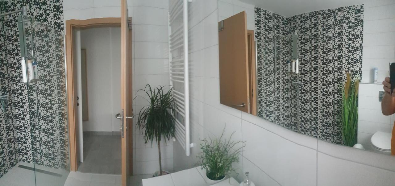 Mistel Apartman بودينسدورف المظهر الخارجي الصورة