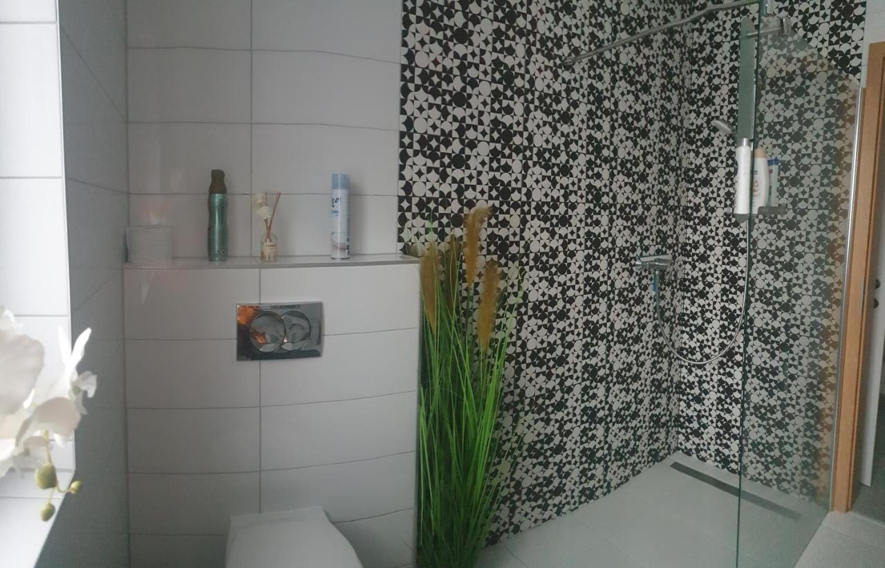 Mistel Apartman بودينسدورف المظهر الخارجي الصورة